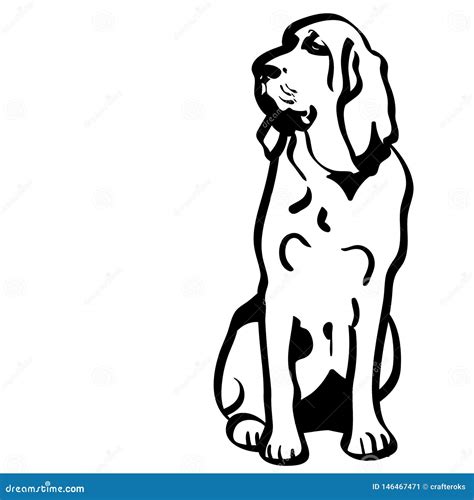 Bloodhound Silhouette Real Word Vector Illustration | CartoonDealer.com ...