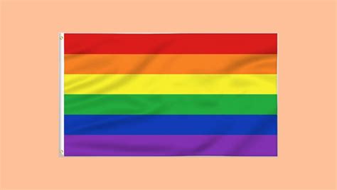 Pride Parade 2023: What Gay Pride flag designs mean