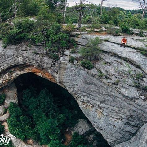 Are Dogs Allowed In Natural Bridges State Park Ky