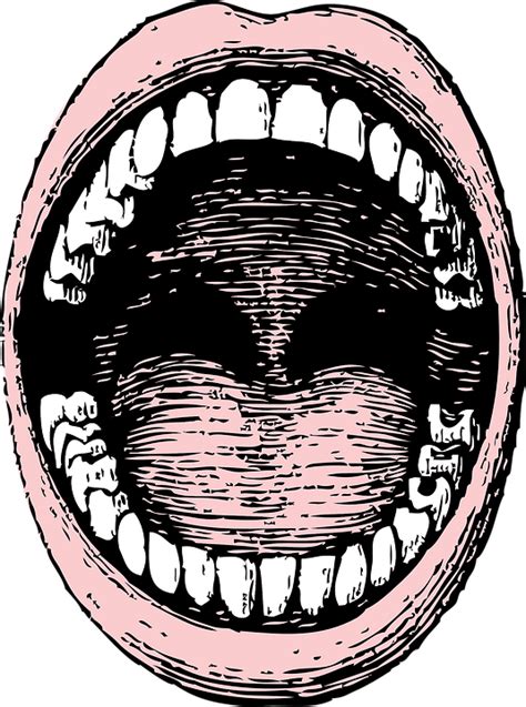 Bouche Humain Les Dents Images Vectorielles Gratuites Sur Pixabay