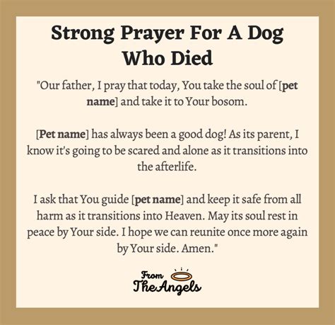 7 Beautiful Prayers For The Loss Of A Dog: Find Heaven