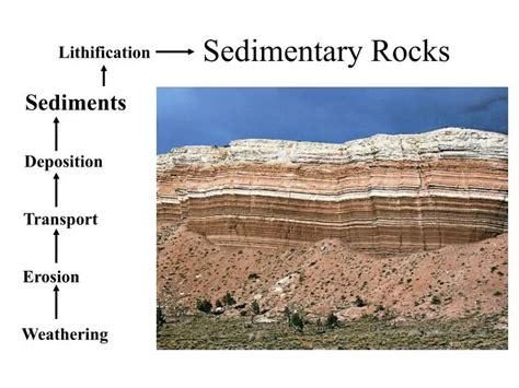 Ppt Sedimentary Rocks Powerpoint Presentation Free Download Id2005629