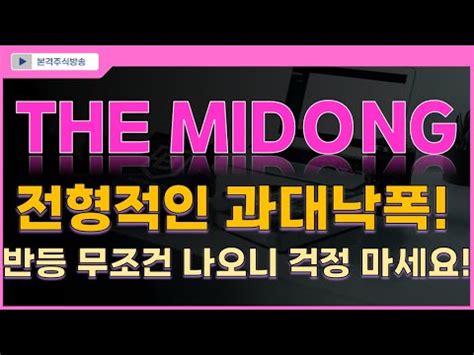 THE MIDONG 전형적인 과대낙폭 반등 무조건 나오니 걱정 마세요 YouTube