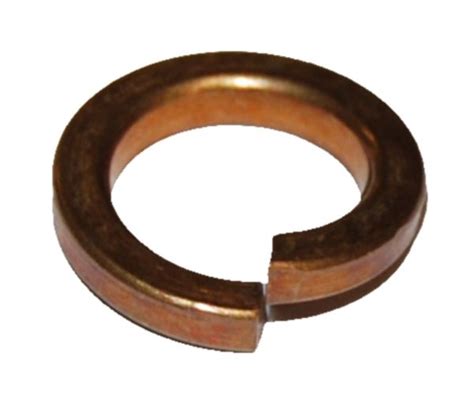 Warrior Washer Spring M10 Phosphor Bronze Warrior Warehouses Ltd