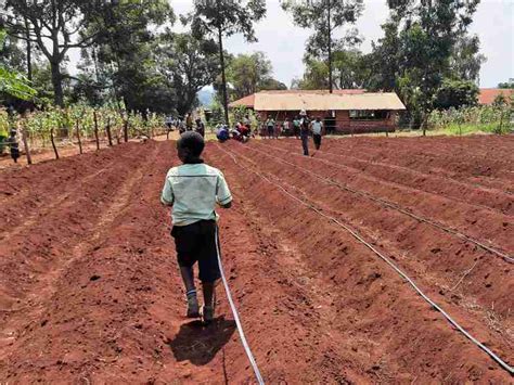 ed  contract farming  ghana build climate resilience