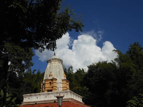 premium photo temple  forest