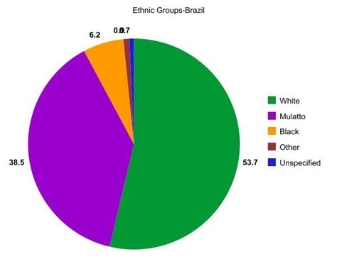 Brazil Braziliran Project