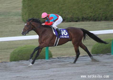 【チャンピオンズカップ・データ】強豪集うダート王決定戦を2勝した名馬は2頭 競馬まとめ Netkeiba