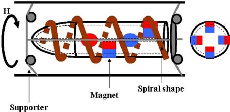 Figure 1 From Mechanism And Control Of A Spiral Type Microrobot