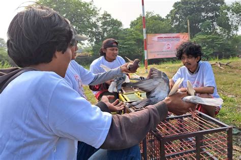 Gandeng Komunitas Pehobi Burung Pemuda Mahasiswa Ganjar Bangun