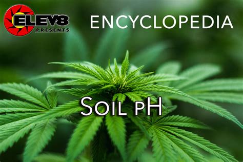 Soil pH – Elev8 Presents