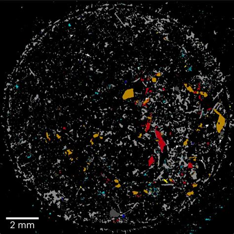 Microplastics Are Everywhere — But Are They Harmful