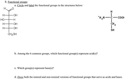 Solved Functional Groups Circle And Label The Functional Groups In