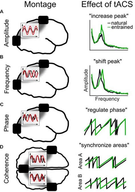 Frontiers Non Invasive Brain Stimulation A Paradigm Shift In Understanding Brain Oscillations