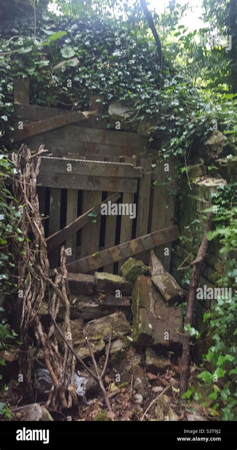 Hidden Well Entrance In Woods Stock Photo Alamy