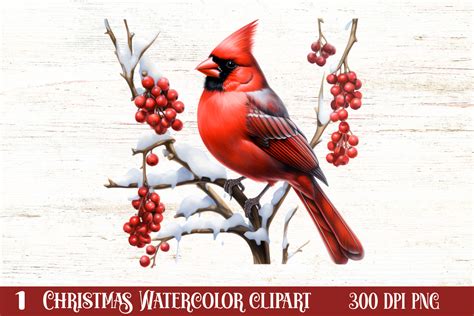 Red Cardinal Watercolor Clipart Graphic By Craftart Creative Fabrica