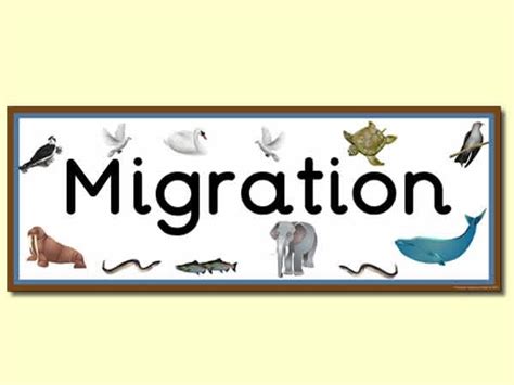 Migration Display Heading Classroom Banner Primary Treasure Chest