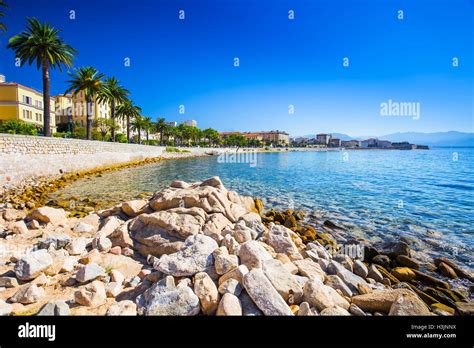 Ajaccio Old City Center Coastal Cityscape With Palm Trees And Typical