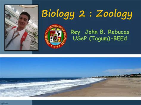 Class Actinopterygii and Class Sarcopterygii | PPTX