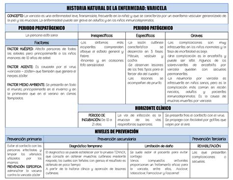 Historia Natural De La Enfermedad Varicela Sheressanxd Historia