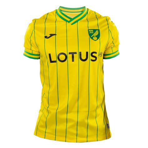 Replica Norwich City Home Jersey Gogoalshop