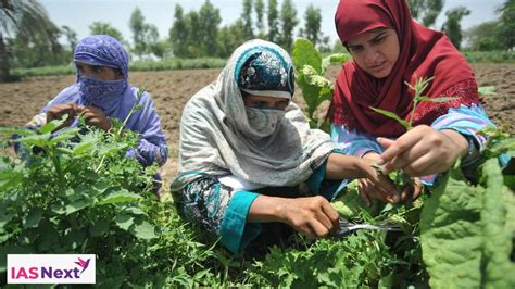 The Status Of Women In Agrifood Systems Fao Report