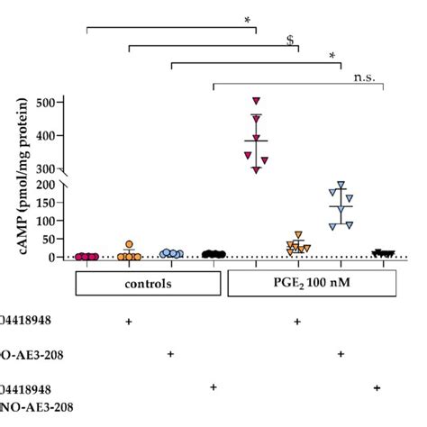 Intracellular Camp Levels In Hpc Are Increased By Pge Stimulation