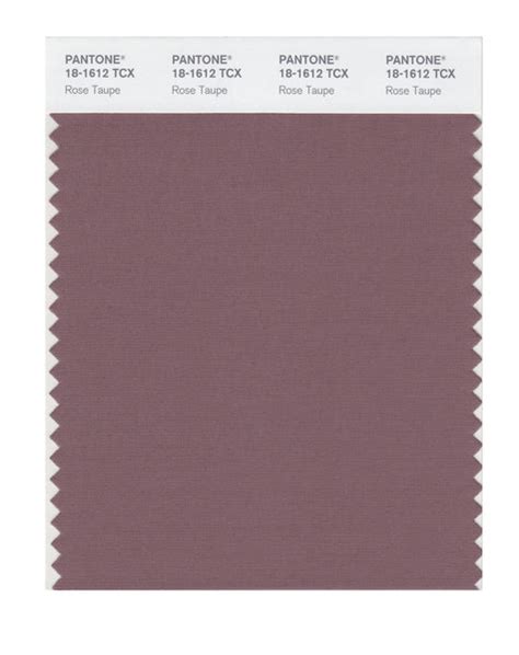 Pantone Smart Color Swatch Card 18 1612 Tcx Rose Taupe Columbia Omni