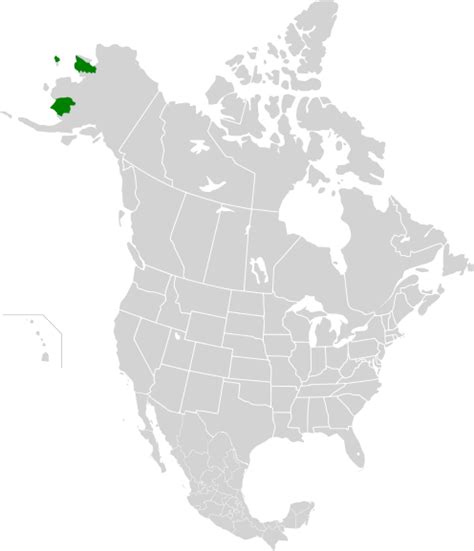 Beringia upland tundra - Wikipedia