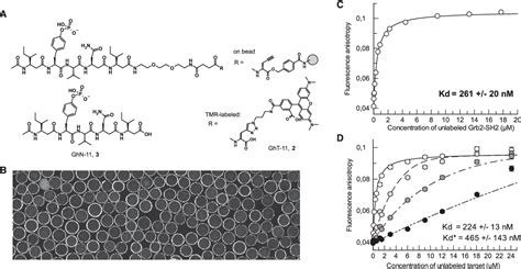 Figure 5 From Single Bead Labeling Method For Combining Confocal Fluorescence On Bead Screening