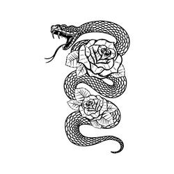 Tattoo With Roses And Snake Sword Dagger Vector Image