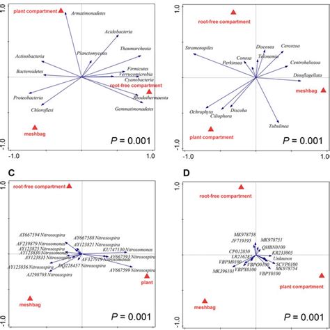 Redundancy Analysis Rda Biplots Showing Relationships Between Download Scientific Diagram