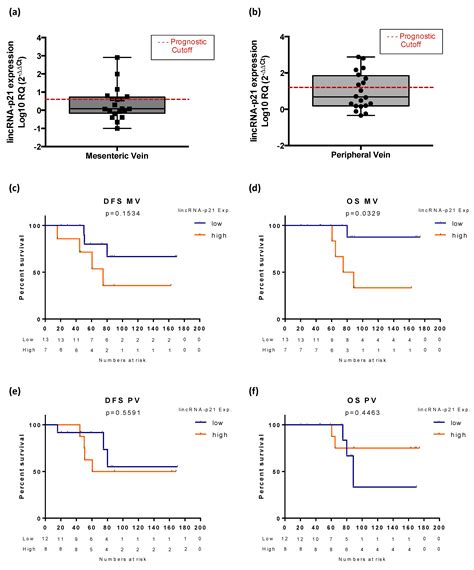 Life Free Full Text Lincrna P21 Levels Relates To Survival And Post Operative Radiotherapy