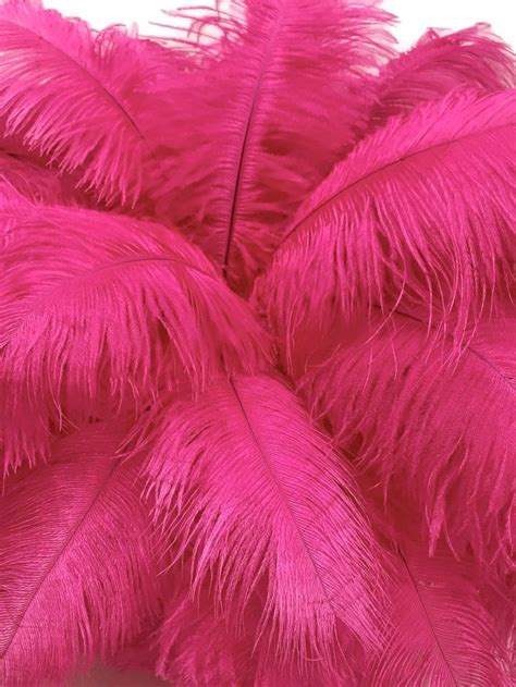 Ostrich Feathers Pieces Hot Pink Dyed Ostrich Drabs Body