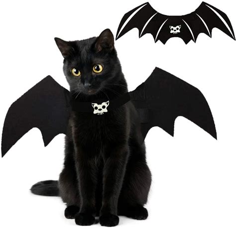 Disfraces De Halloween Para Tu Mascota Que Seguro Amar S Gobiznext