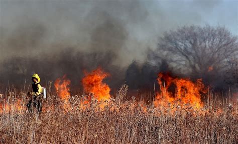 Los Ingredientes Que Avivan Los Incendios Forestales Medio Ambiente