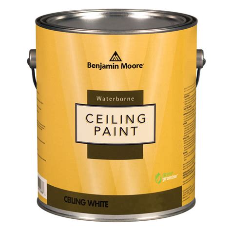 Benjamin Moore Waterborne Ceiling Paint - Ultra Flat Finish - 3.55-L ...