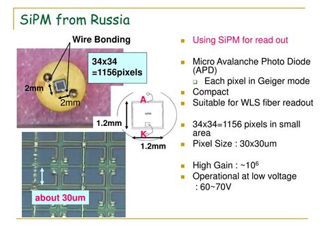 PPT Status Of Photon Sensor Study At Niigata University SiPM And