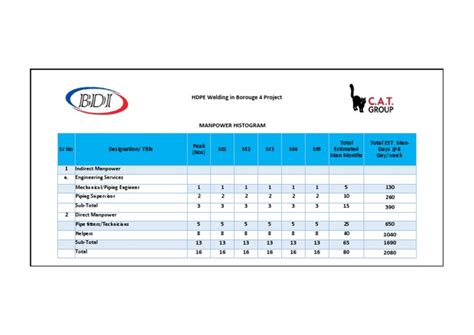 Manpower Histogram | PDF