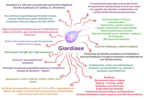 Mapa Mental Giardiase Parasitologia Humana Porn Sex Picture