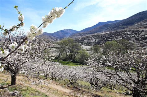 Pueblos Del Valle Del Jerte De Tornavacas A Casas Del Casta Ar