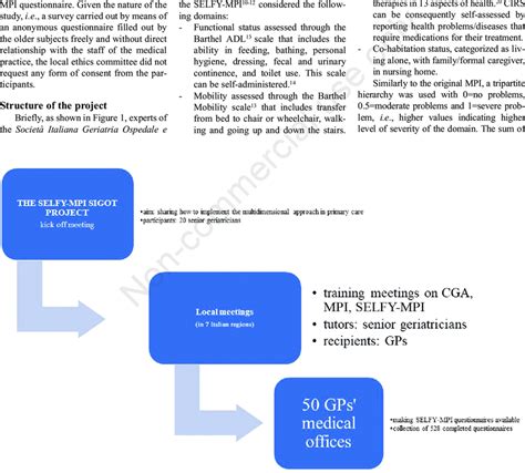 Organization Of The Project Cga Comprehensive Geriatric Assessment