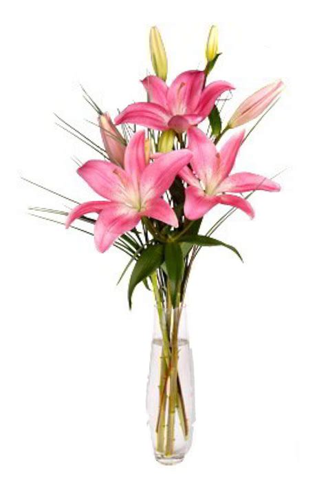 Buy Three stem pink lilies with green leaves in Vase to Davao City ...