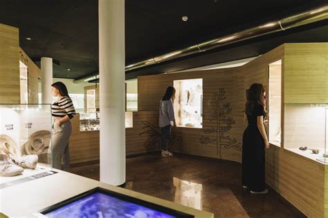 Museo Geologico Delle Dolomiti Di Predazzo MUSE