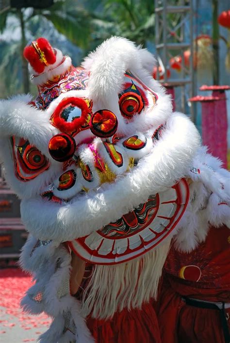 La Danza Del León Es Una Forma De Baile Tradicional En La Cultura China