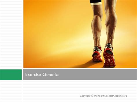 Join Our Exercise Genetics Continuing Education Training The Health Sciences Academy