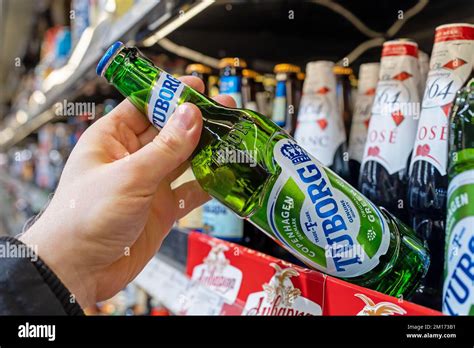 Tuborg beer bottles on shelves in a supermarket. Buyer takes Tuborg beer. Hand is holding Tuborg ...