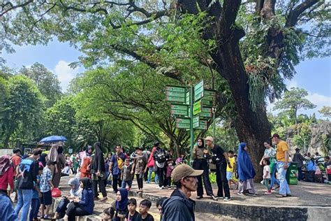 Ragunan Jadi Destinasi Favorit Libur Lebaran Karena Murah Antara News