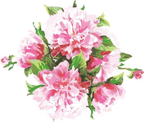 pink watercolor flowers vector  clipart hq transparent hq png