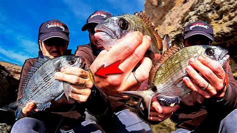 Mucha Pesca Aqu Creo Que Nunca Hab A Sacado Tantos Peces Seguidos